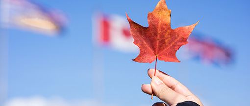 加拿大留学资讯更新（内含签证信息、学校信息）