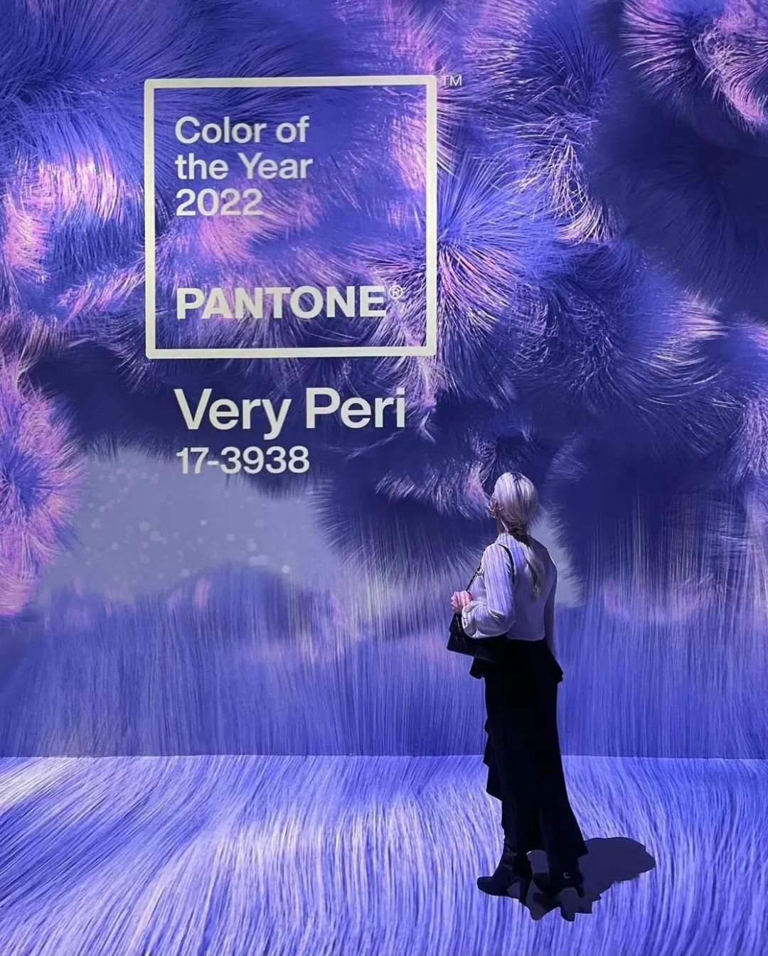 2022 Pantone潘通年度流行色发布：长春花蓝！