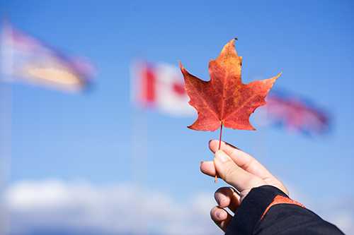 加拿大留学解析：2021年中国赴加拿大留学生数据分析